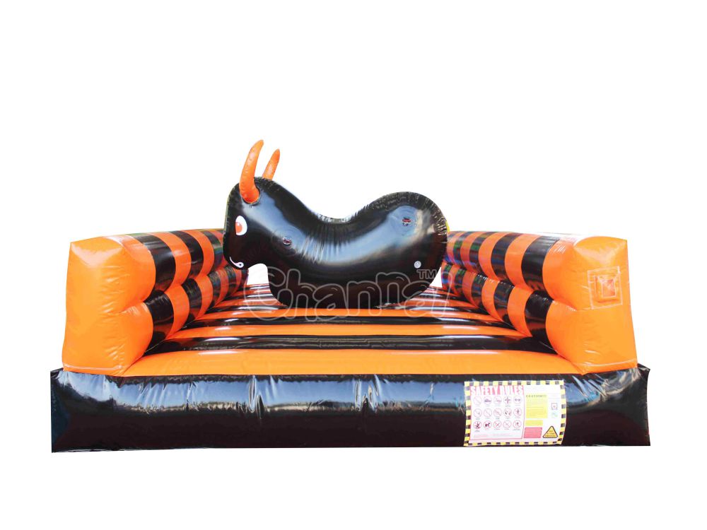 inflatable pool bull