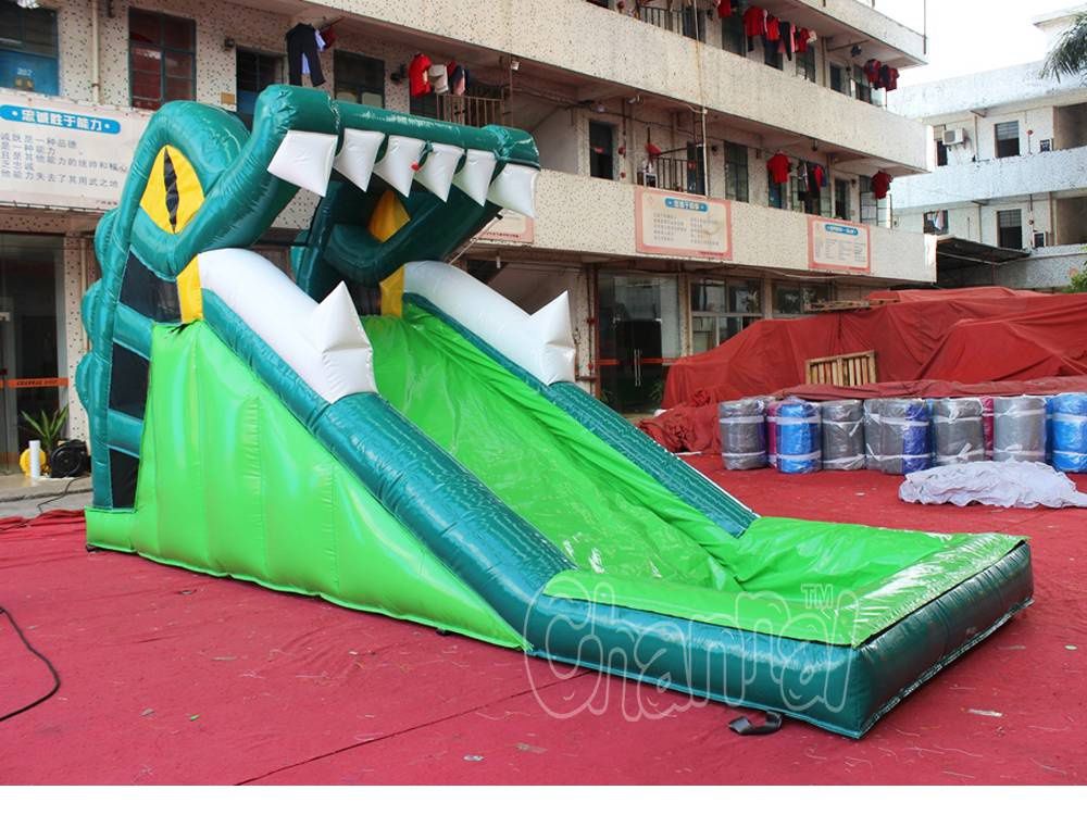 crocodile water slide